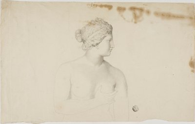 Estudo da Vênus Médici de Unknown artist