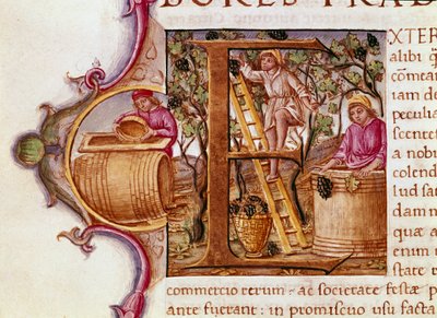 A Lettrina da Colheita do manuscrito "História Natural" do escritor romano e naturalista Plínio o Ancião (23-79 d.C.) Veneza Biblioteca Marciana do século XV de Unknown artist