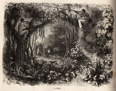 Os índios Yahua do Peru estão em busca de caça, poleiros nos galhos e armas de sarbacans com flechas envenenadas. Gravura para ilustrar a viagem do Oceano Pacífico à L