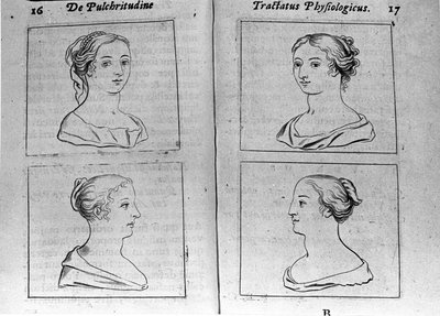 Os diferentes perfis femininos da página "Tractatus physiologicus de pulchritudine" trata com Ernesto Venio (Ernestus Vaenius) defendendo a beleza da criação contra um adversário anônimo. 1612 de Unknown artist