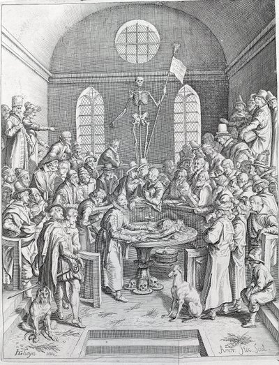 O grupo de médicos e cientistas da dissecação reuniu-se para seguir uma dissecação num anfiteatro. Gravura a partir de 1788 de Unknown artist