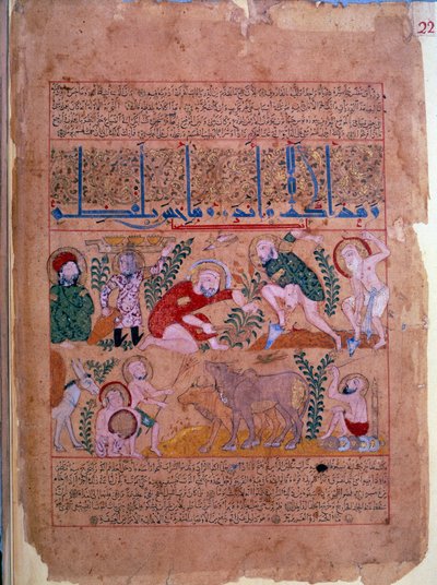 O médico Andromakhos observa as actividades agrícolas Miniatura tirada do "The book of antidotes" 1199 Paris, B.N. de Unknown artist