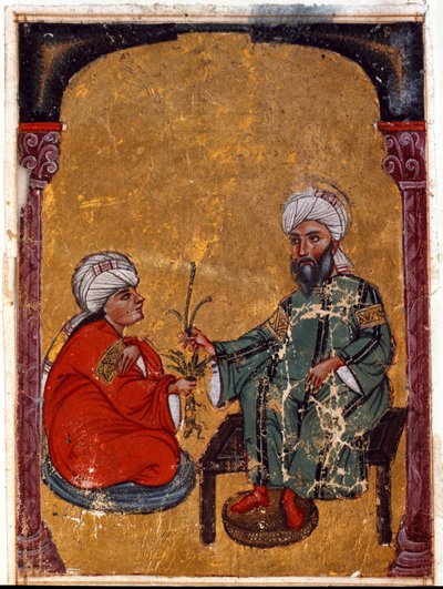 O médico e botânico Pedanius Dioscoride (Dioscorides) (40-90 d.C.) explicando a um dos seus alunos as virtudes das plantas miniaturas derivadas do seu tratado "De materia medica" (Fol. 2 verso) Do Iraque. 1229 Topkapi Sarayi Biblioteca do Museu Topkapi Sar de Unknown artist