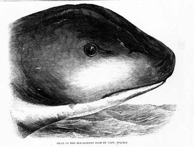 A cabeça da cobra marinha gigante foi avistada pela tripulação da HMS Daedalus em 1848. Gravura da era. de Unknown artist