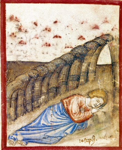 A visão de José, filho de Jacob Miniatura tirada do códice 212 (ou códice padovano ou Bíblia de Pádua) 1390-1400 Rovigo, Accademia dei Concordi de Unknown artist