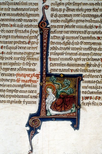 Árvore de Jessé, pai do rei David de Unknown artist