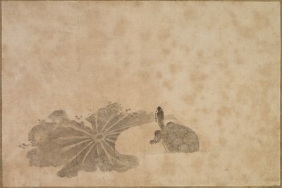 Tartaruga em uma lagoa de lótus de Unknown artist