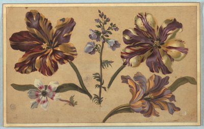 Vários Florais de Unknown artist