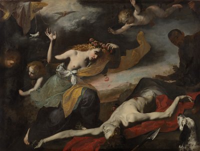 Vênus descobrindo o Adonis morto de Unknown artist