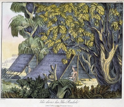 Vista das Ilhas Radack de Unknown artist