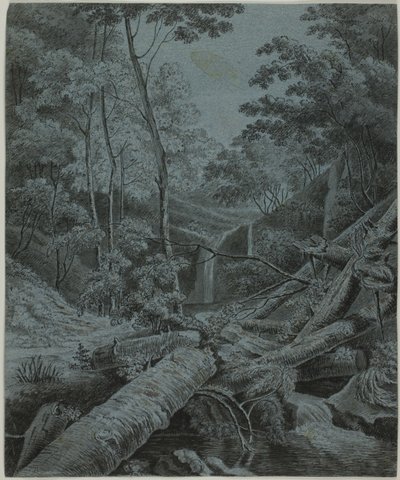 Queda de água e troncos caídos na floresta de Unknown artist