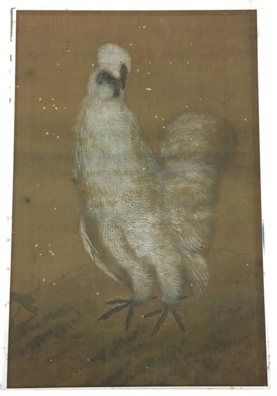 Galo branco de Unknown artist