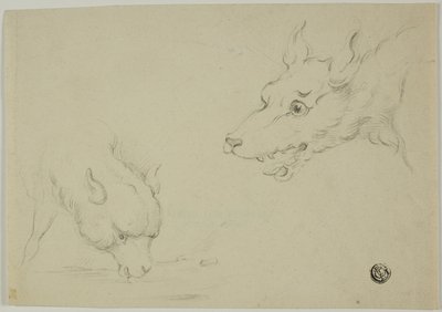 Lobo e Cordeiro de Unknown artist