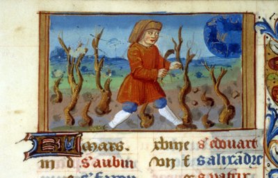 Zodíaco Áries e tamanho das árvores - Miniatura da Idade Média (ref. 137, 047r) - Solicitar permissão da Biblioteca Municipal de Toulouse (tel: 05 62 27 66 66) de Unknown artist