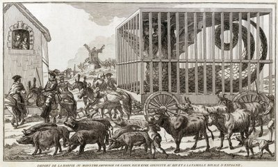 Zoomorfismo - Caricatura contra Maria - Antoinette - Partiu da Harpia ou monstro anfíbio de Cádiz para ser levado ao rei e à família real de Espanha: Este animal foi levado para as margens do Lago Fagua - 1784 - de Unknown artist