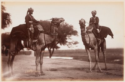 Camel Sowars no Campo de Exercício de Delhi de Unknown photographer