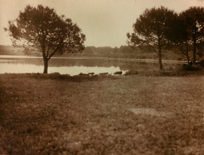 Paisagem das ilhas Brijuni de Unknown photographer