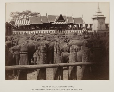 Fotografia em álbum de fotografias de Unknown photographer