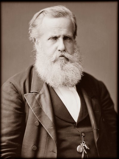 Retrato de Dom Pedro II (Pedro II) (Pedro II) (Dom Pedro de Alcântara) (1825-1891), Imperador do Brasil de Unknown photographer