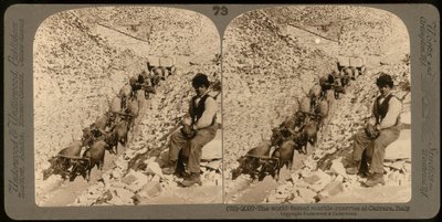 Retrato de um rapaz nas famosas pedreiras de mármore de Carrara; fotografia estereoscópica (foto a p/b) de Unknown photographer