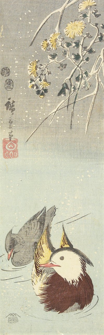 (Crisântemo e mandarim patos), fevereiro de 1854 de Utagawa Hiroshige