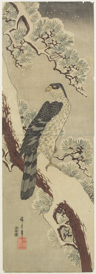 (Hawk on Pine Branch, Winter), início do século XIX de Utagawa Hiroshige