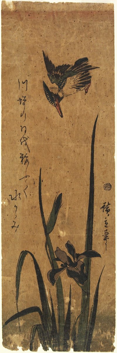 (Iris e Kingfisher), 1830-1858 de Utagawa Hiroshige