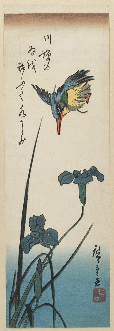 (Iris e Kingfisher), 1843-1847 de Utagawa Hiroshige