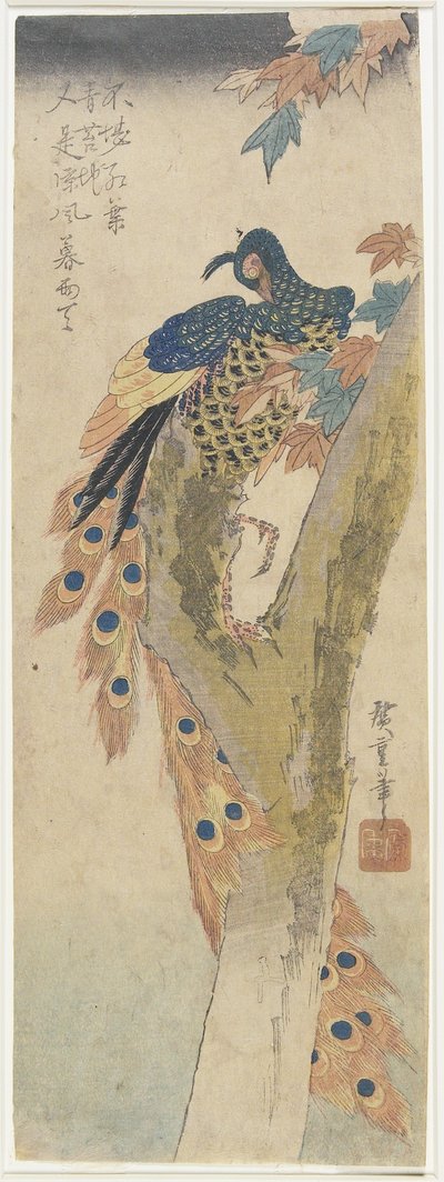 (Pavão em Maple Tree), início do século XIX de Utagawa Hiroshige