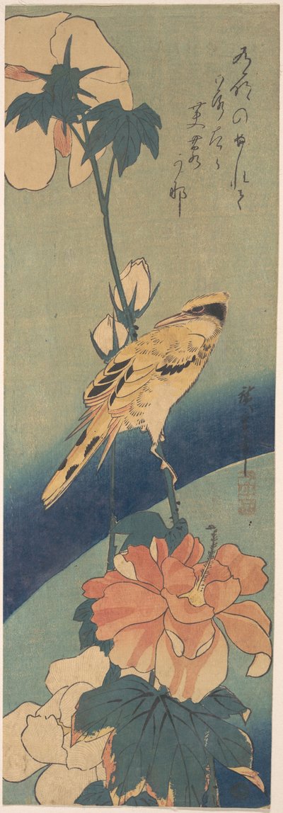 Schwarzrückenpirol auf einem Hibiskusstängel de Utagawa Hiroshige