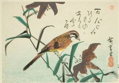 Estamenha e lírios de Utagawa Hiroshige