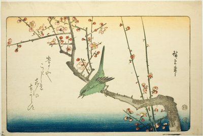 Toutinegra de Bush no ramo de ameixa de Utagawa Hiroshige