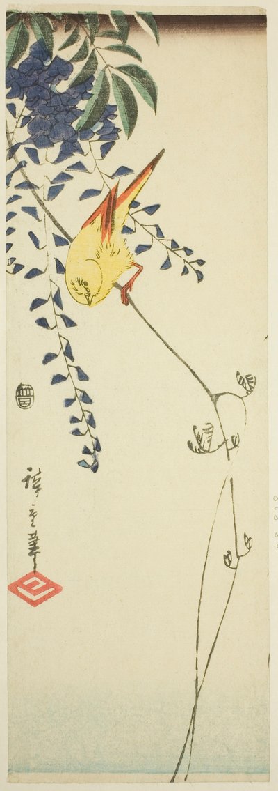 Canário e glicínias de Utagawa Hiroshige