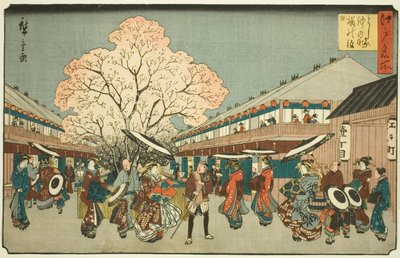 Check ry B rough m som tee tee tee tee tee yoshiwara (Yoshiwara middle tee cherry blossom day), da série tee s "Fa network s PA back s member Edo (Edo famoso place) ” de Utagawa Hiroshige