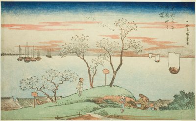 Noite de cerejeiras em Goten Hill (Gotenyama no yuzakura), da série "Famous Views of the Eastern Capital (Toto Meisho)" de Utagawa Hiroshige