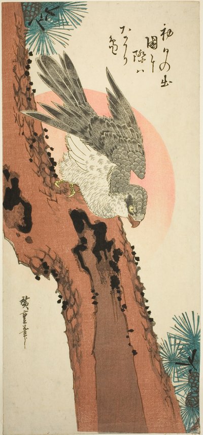 Falcão em um pinheiro com o sol nascente de Utagawa Hiroshige