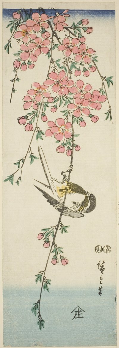Grande chapim e flores de cerejeira de Utagawa Hiroshige