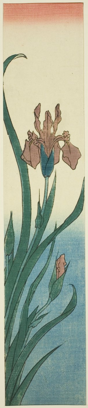 Íris de Utagawa Hiroshige