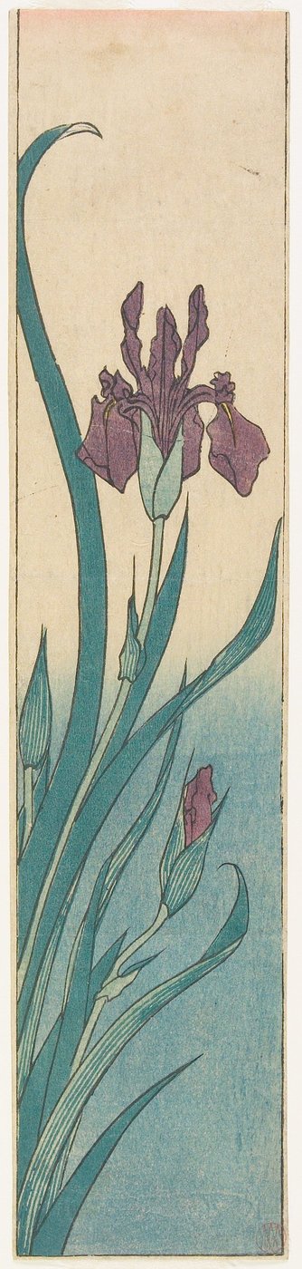 Iris de Utagawa Hiroshige