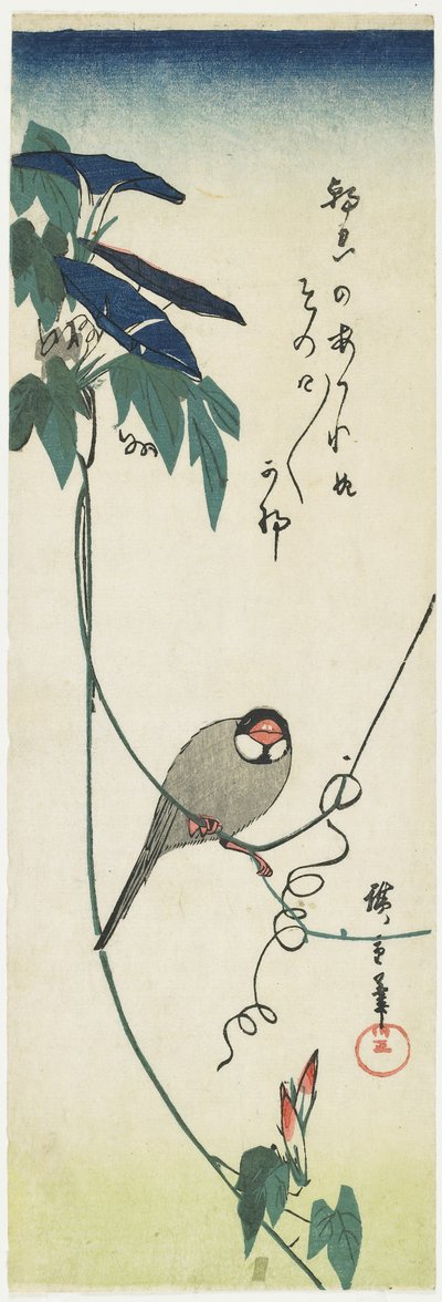 Java Sparrow e Morning Glories, 1834-1839 de Utagawa Hiroshige