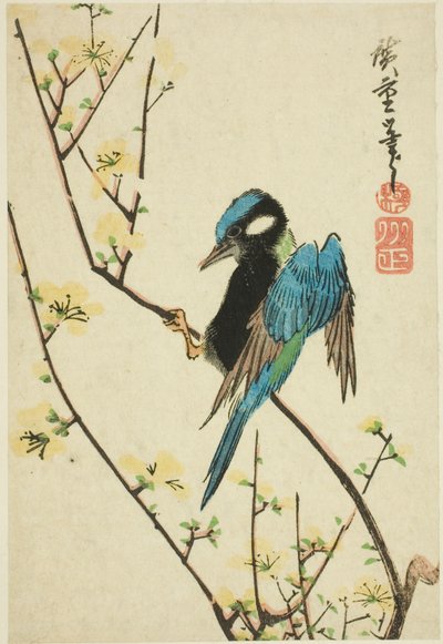 Pardal de Java no ramo de cereja de Utagawa Hiroshige