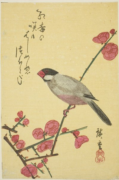 Pardal de Java no ramo de ameixa de Utagawa Hiroshige