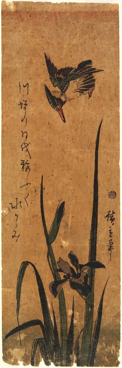Eisvogel und Iris de Utagawa Hiroshige
