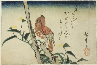 Martim-pescador e dayflower de Utagawa Hiroshige