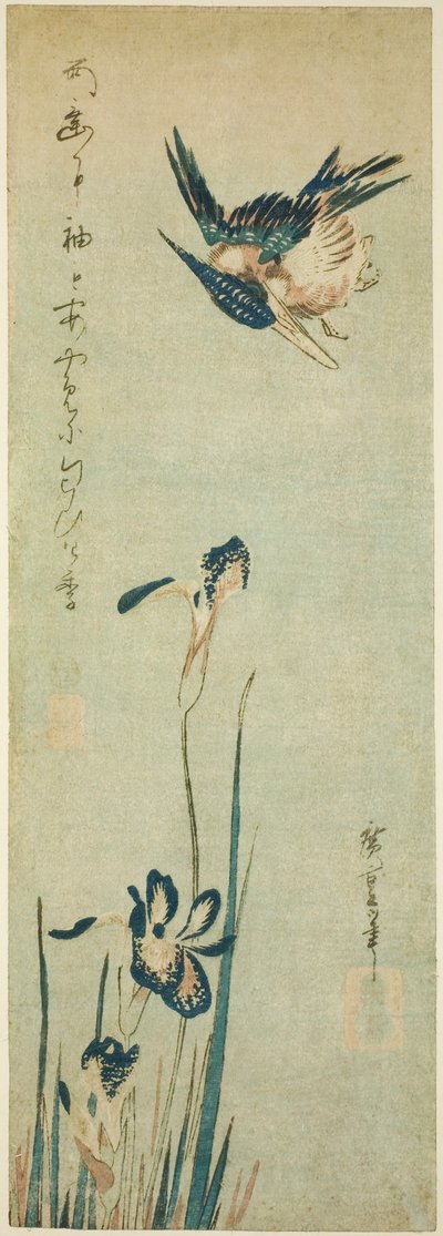 Martim-pescador e íris de Utagawa Hiroshige