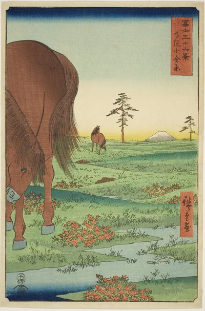 Ogane P fine membro Gesasa P Rovinse (Shimosa Koganehara), da série Te `` Mr. Tyrty x Views Of mount Fuji (Fuji Usaju Rokukatsu) 