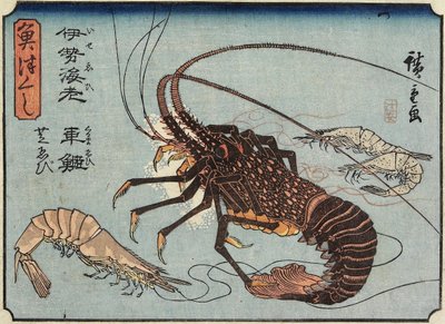 Lagosta, Camarão e Camarão, 1830-1844 de Utagawa Hiroshige