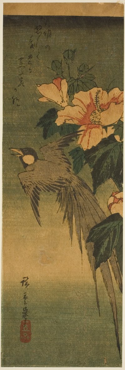 Ave de cauda longa e hibisco de Utagawa Hiroshige