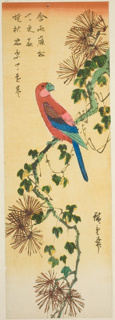 Arara em ramo de pinheiro coberto de hera de Utagawa Hiroshige