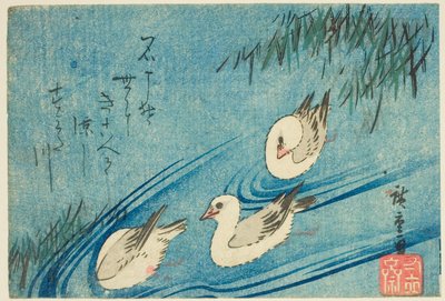 Ostraceiros de Utagawa Hiroshige